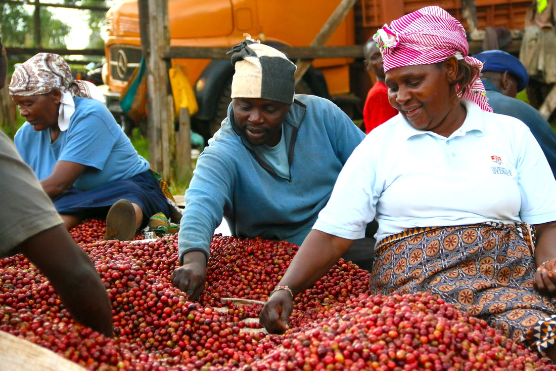 Coffee Quality Process